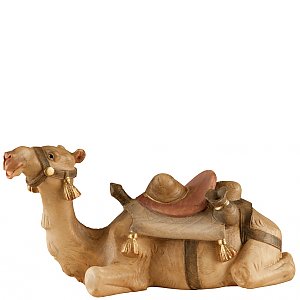 SA1840015 - Kamel liegend