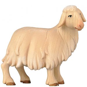 SA1851020 - Schaf stehend