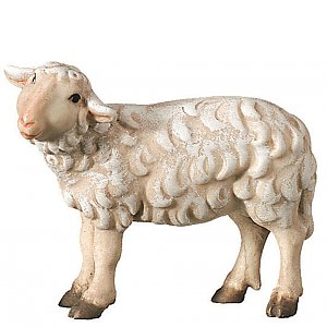 SA2460010 - Schaf linksschauend