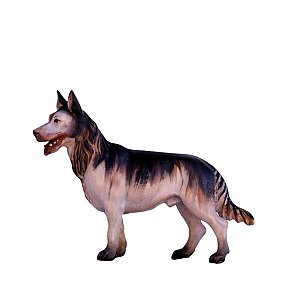 SO3037015 - Schäferhund
