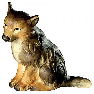 1055 - Cucciolo di lupo seduto