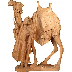 BE0915L020 - Pastore con camello cirmolo