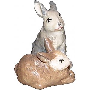 SA2530008 - Gruppa di coniglio